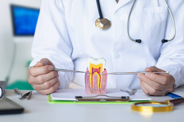 Best Emergency Dental Care for Broken or Chipped Teeth in Nice, CA